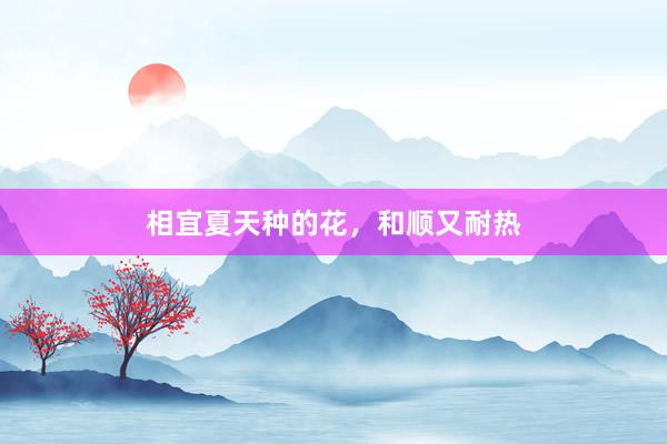 相宜夏天种的花,和顺又耐热